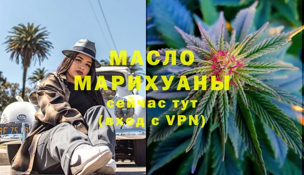 индика Михайловка