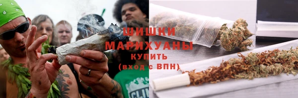 индика Михайловка