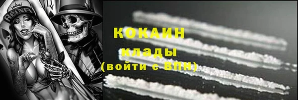 индика Михайловка