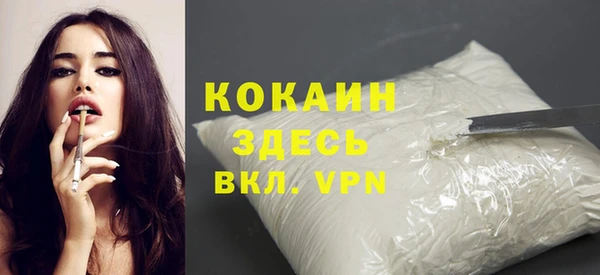 индика Михайловка