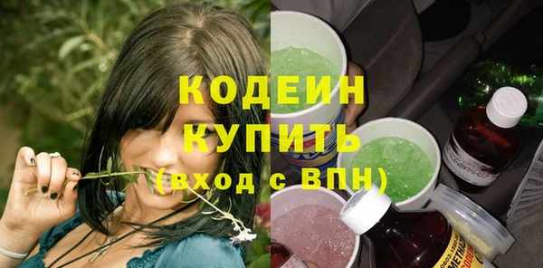 индика Михайловка