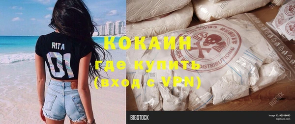 индика Михайловка
