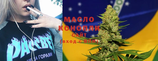 индика Михайловка