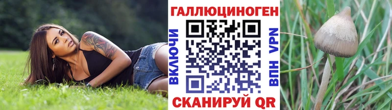 Галлюциногенные грибы мухоморы  Нюрба 